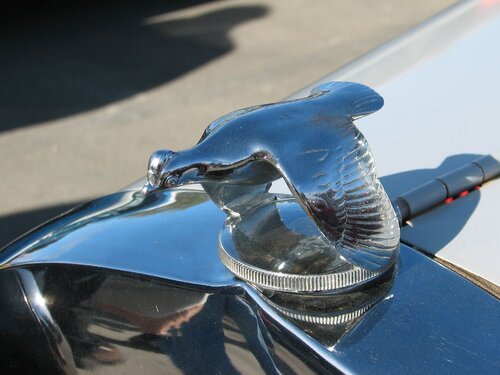 Lakewood neighborhood holiday parade