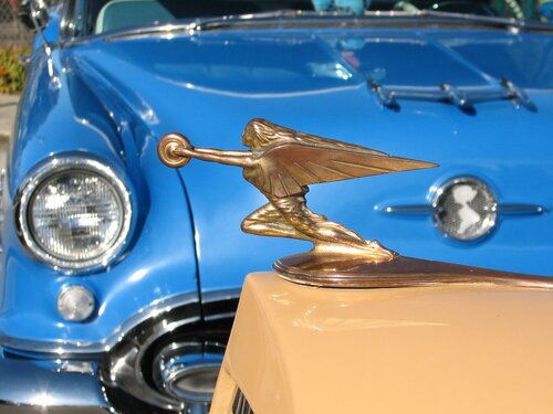 Lakewood neighborhood holiday parade