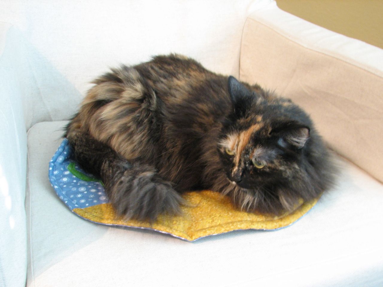 Fishbowl cat quilt31