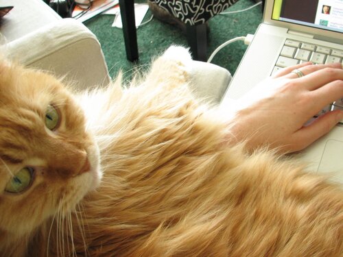 It's hard to work like this