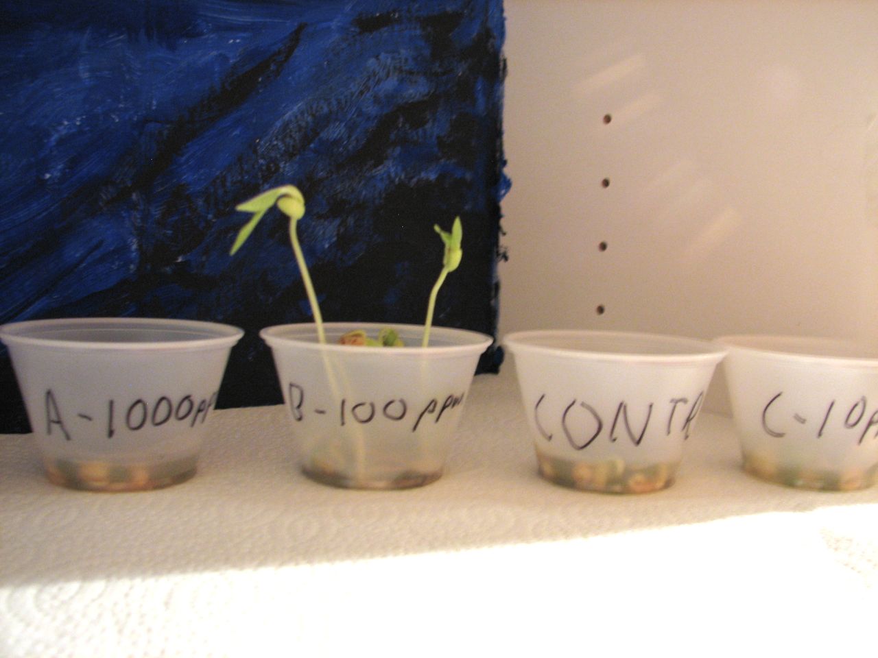 varied concentrations