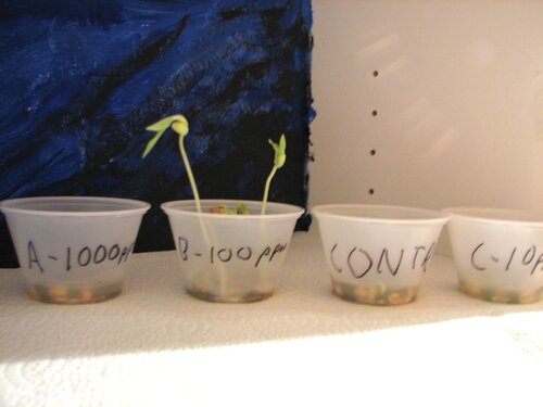 varied concentrations