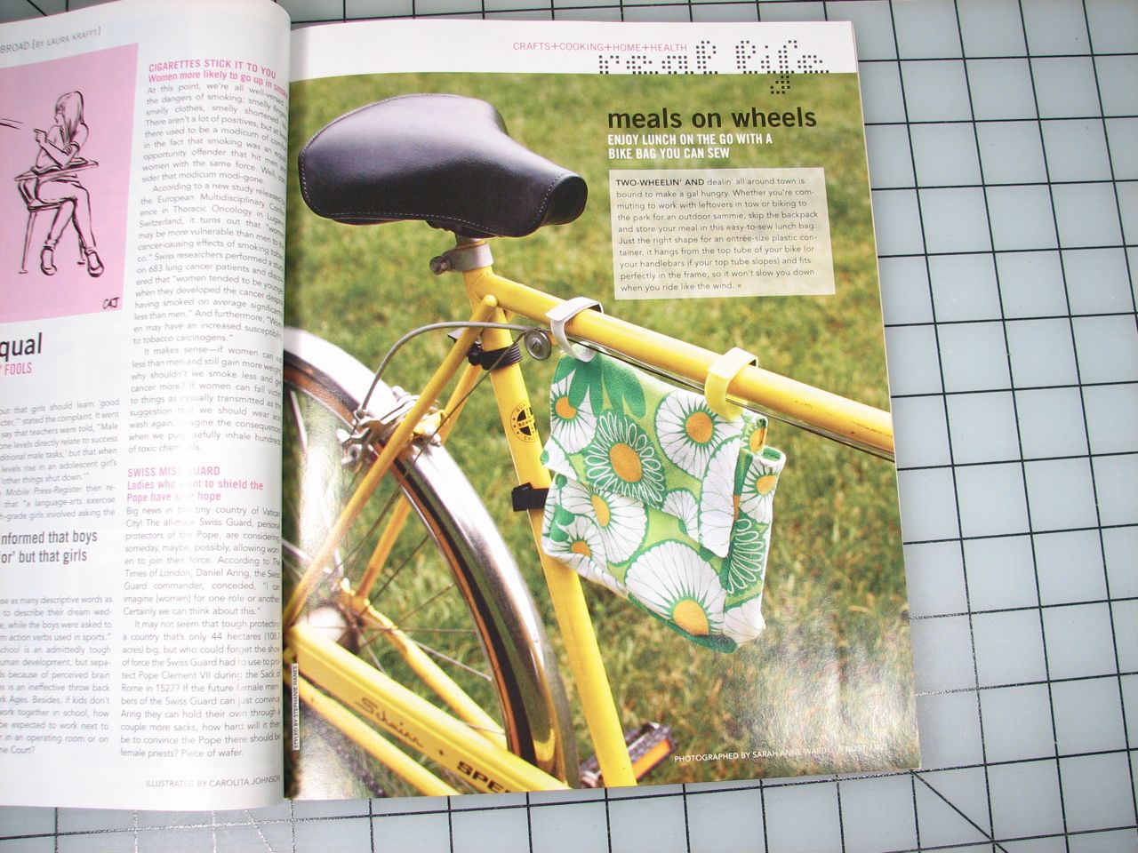 bike bag in print2
