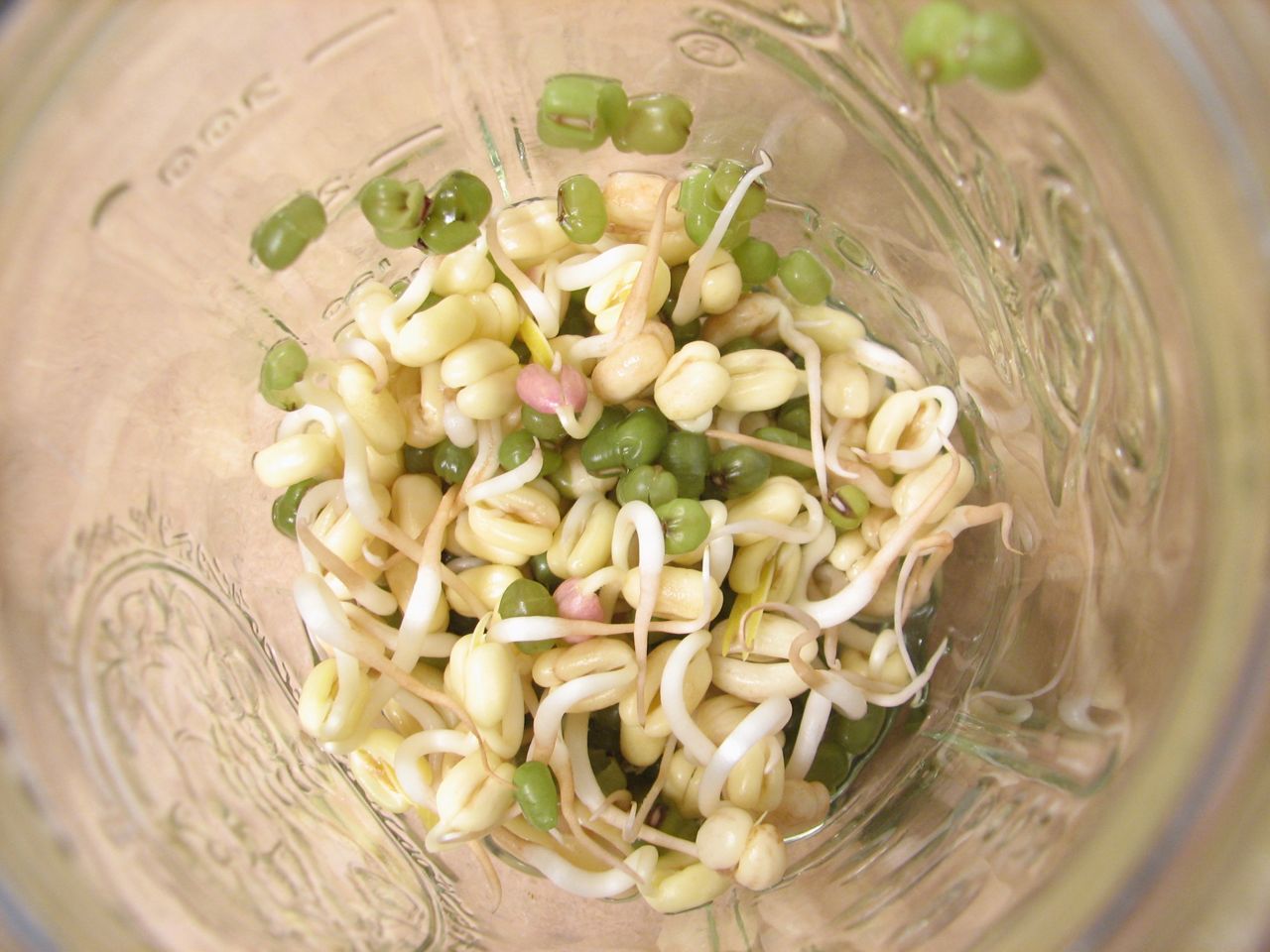 Beans day four - Kontrol