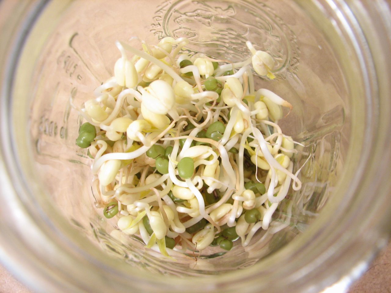 Beans day four - Kaos