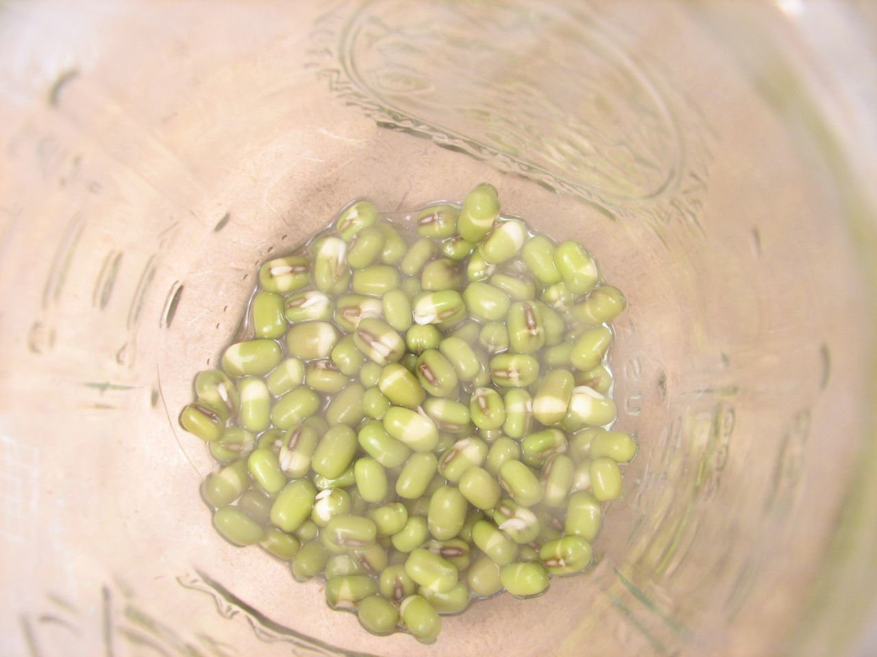 Beans day one - Kaos