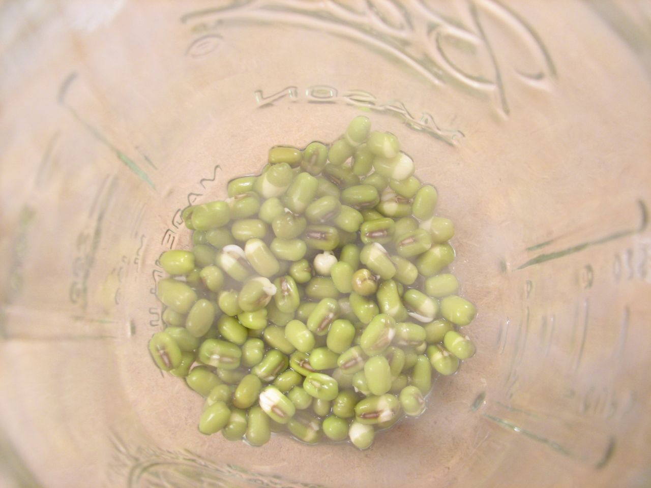 Beans day one - Kontrol