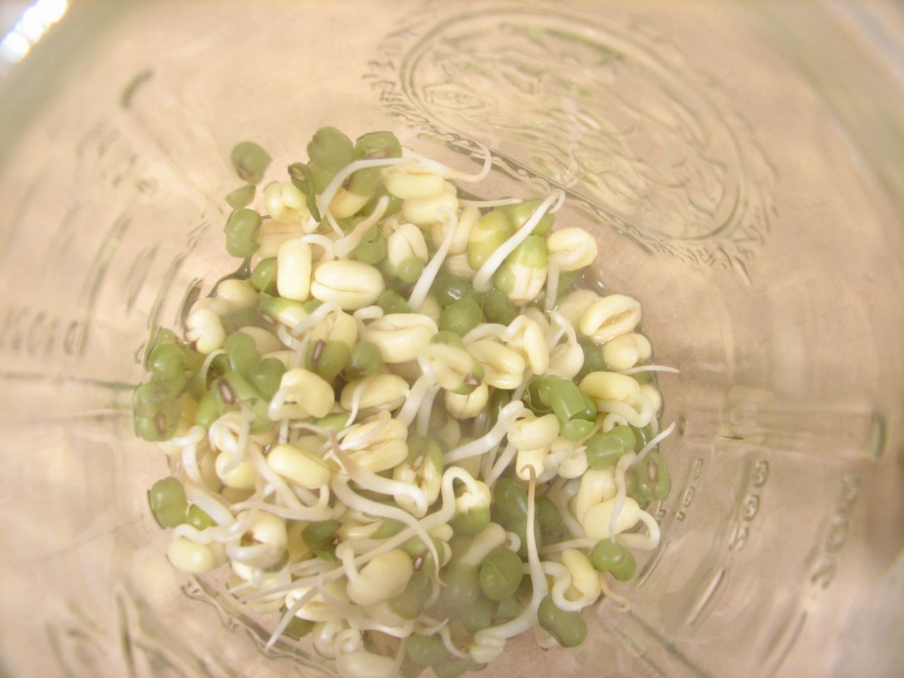 Beans day three - Kaos