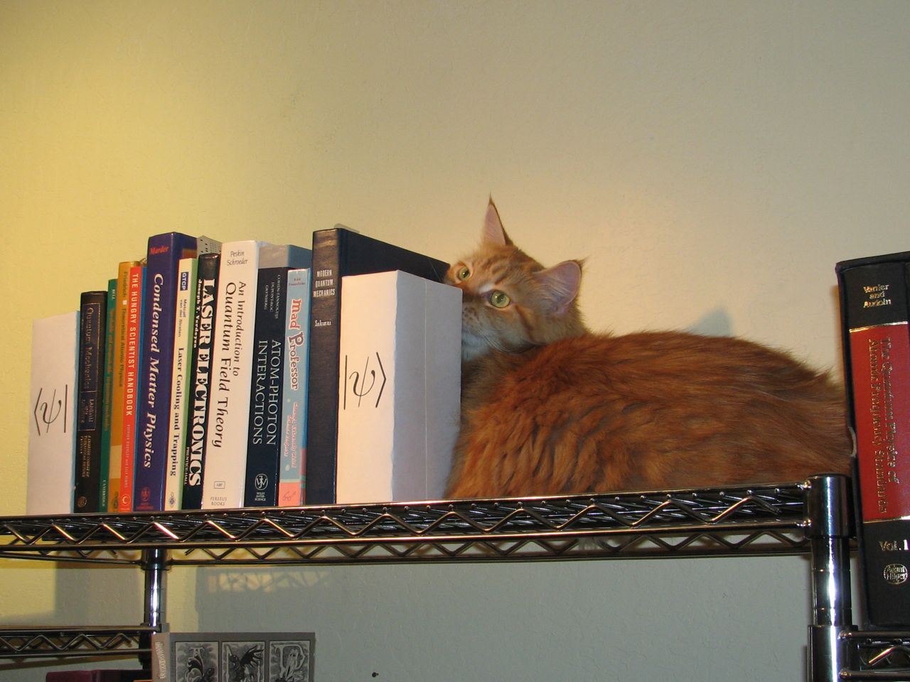 Bookends - 2