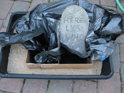 Coming out of the form