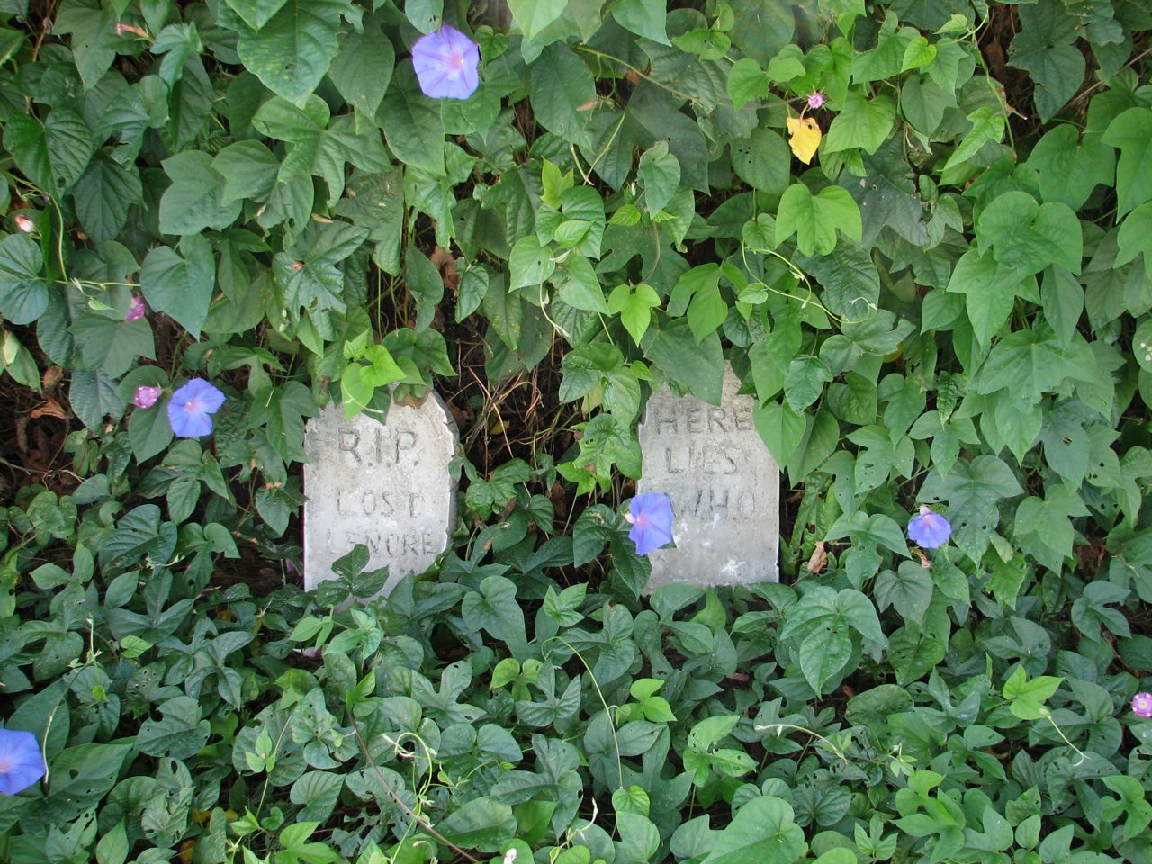 Strategically placed