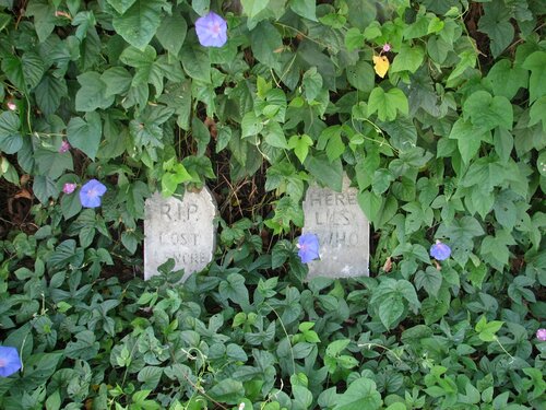 Strategically placed