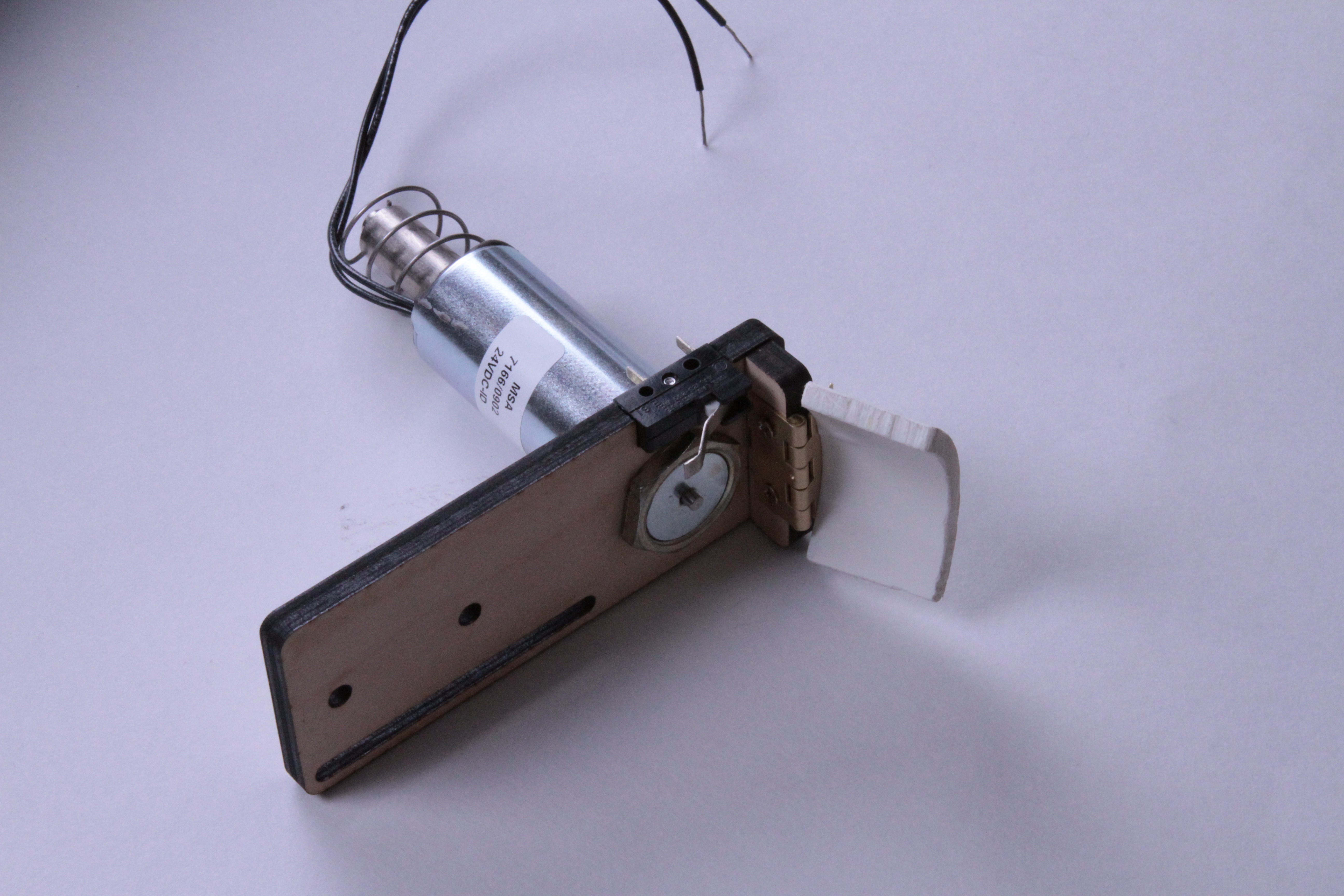 Paddle assembly-- with switch