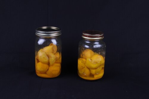 Lemon Pickle 5
