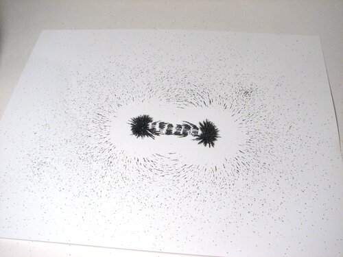 Magnetic Fields - 09