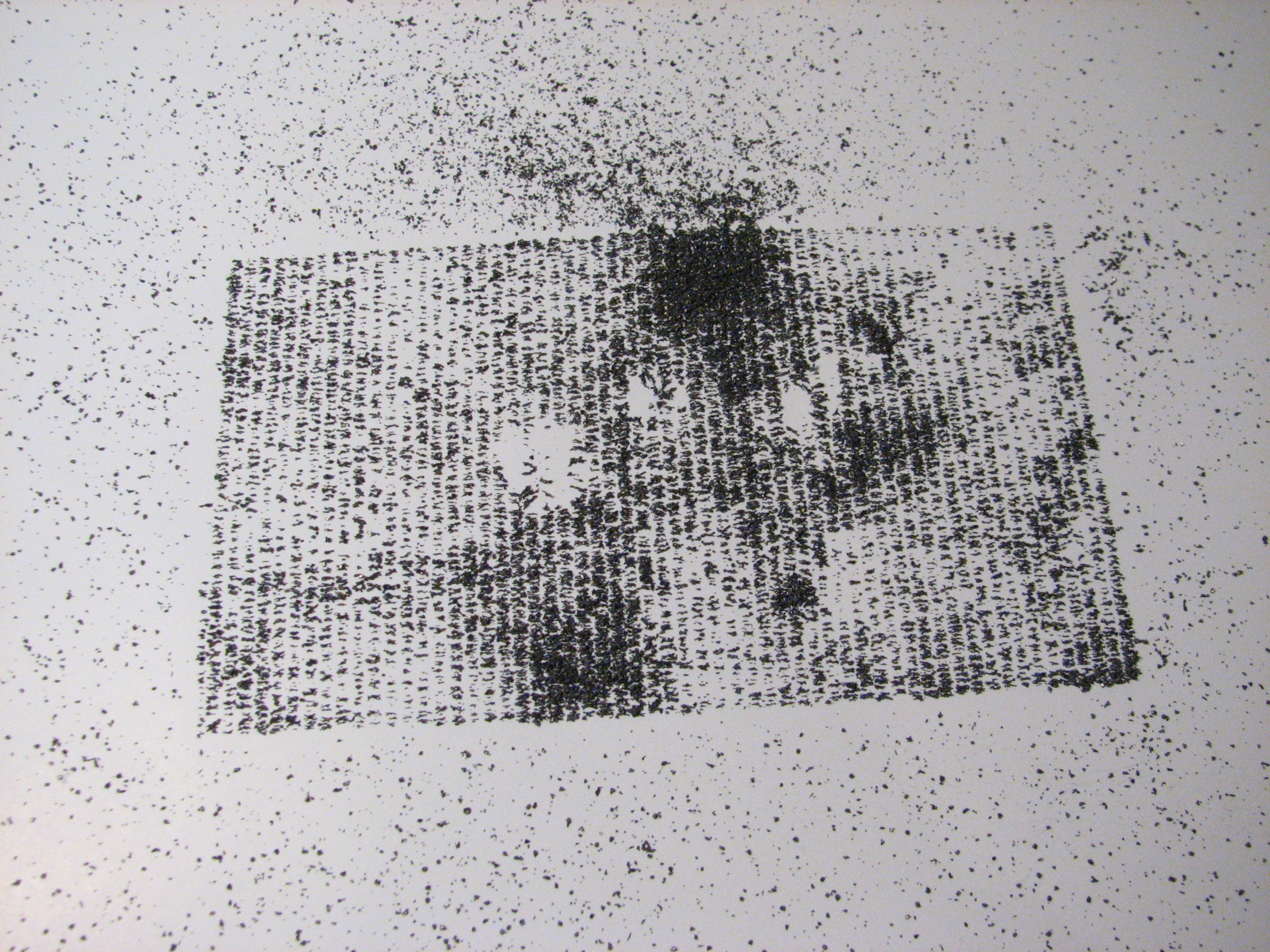 Magnetic Fields - 23