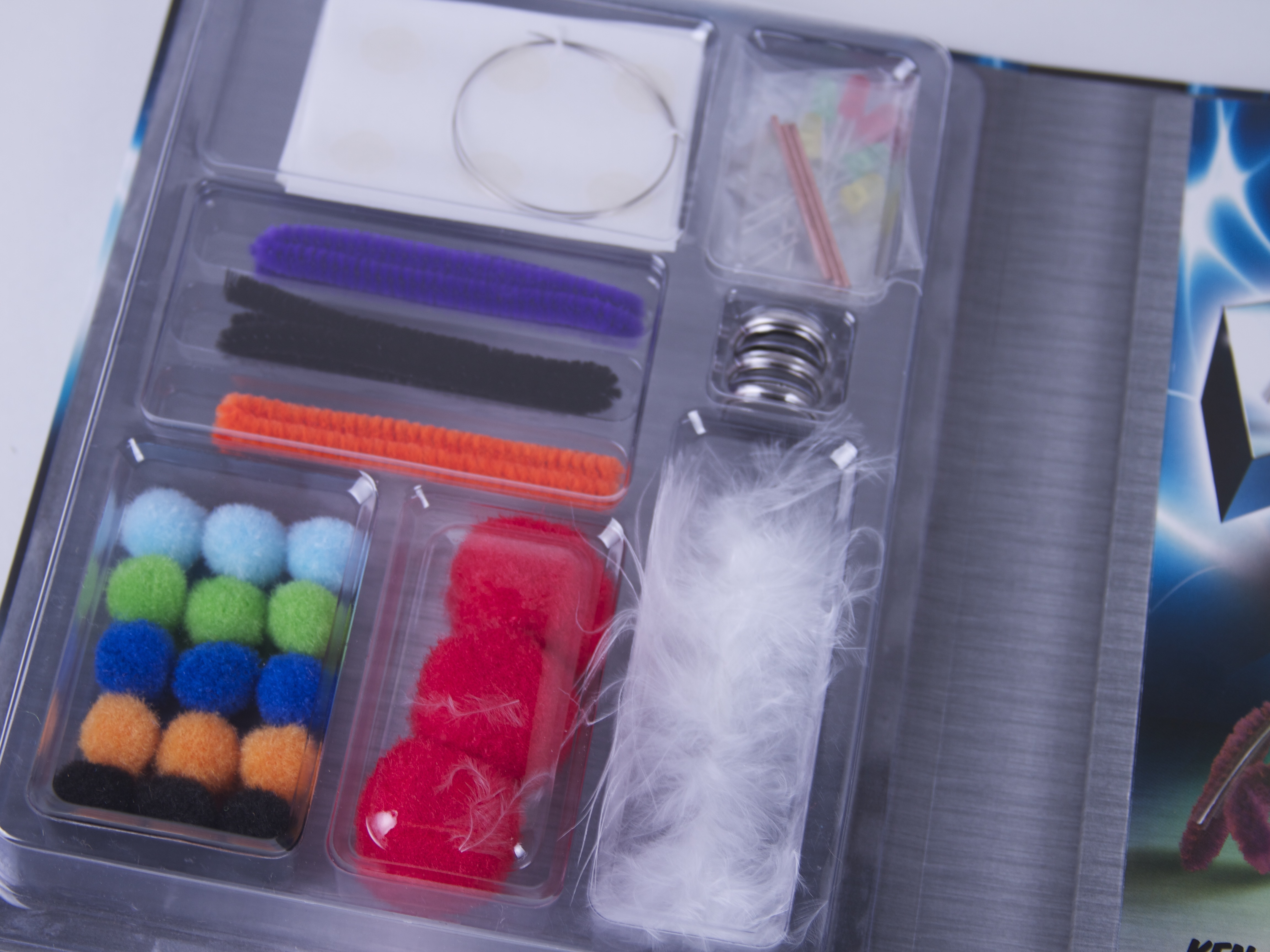 Blinky Bugs Book & Kit