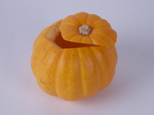 Mini Pumpkin