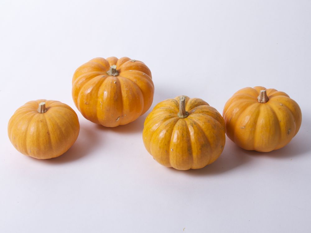 TinyPumpkinArmy - 01