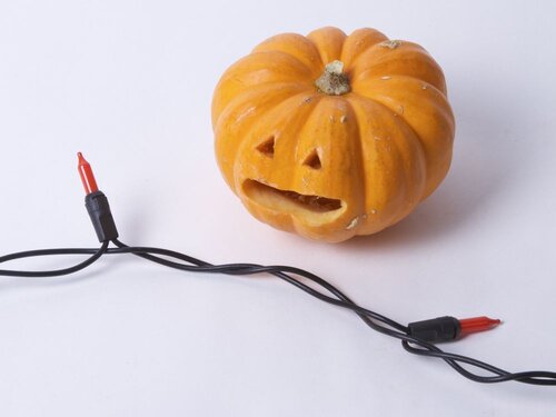 TinyPumpkinArmy - 15