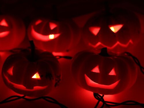 TinyPumpkinArmy - 21