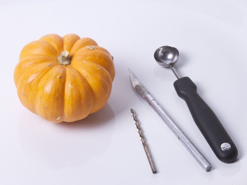 TinyPumpkinArmy - 02