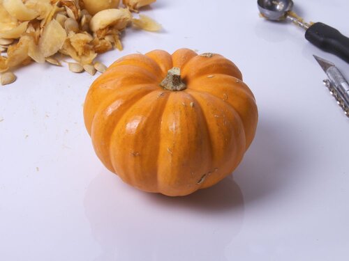 TinyPumpkinArmy - 08