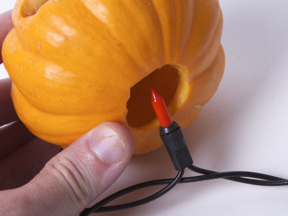 TinyPumpkinArmy - 16