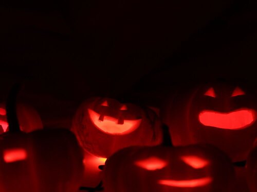 TinyPumpkinArmy - 20