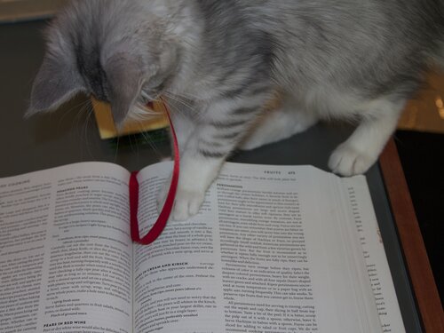 Rachael with cookbook ribbon