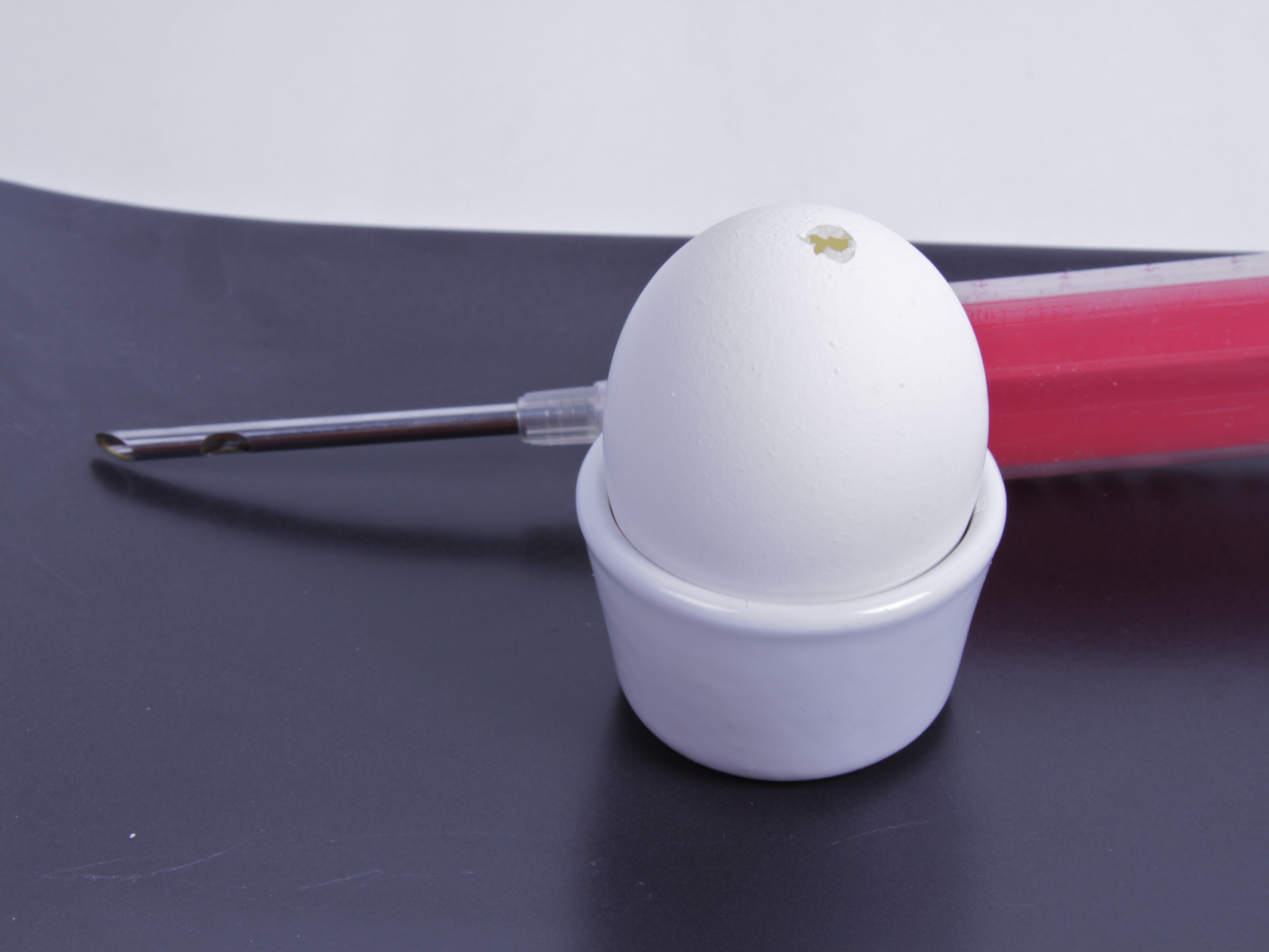 Egg with syringe