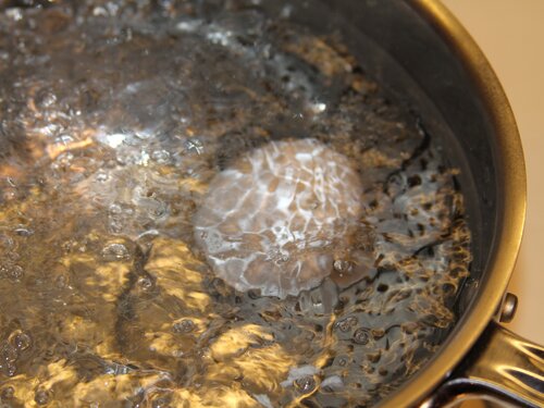 Boiling egg