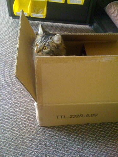 Zener inspects the USB-TTL cables