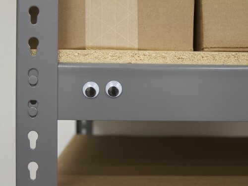 Googly Shelf