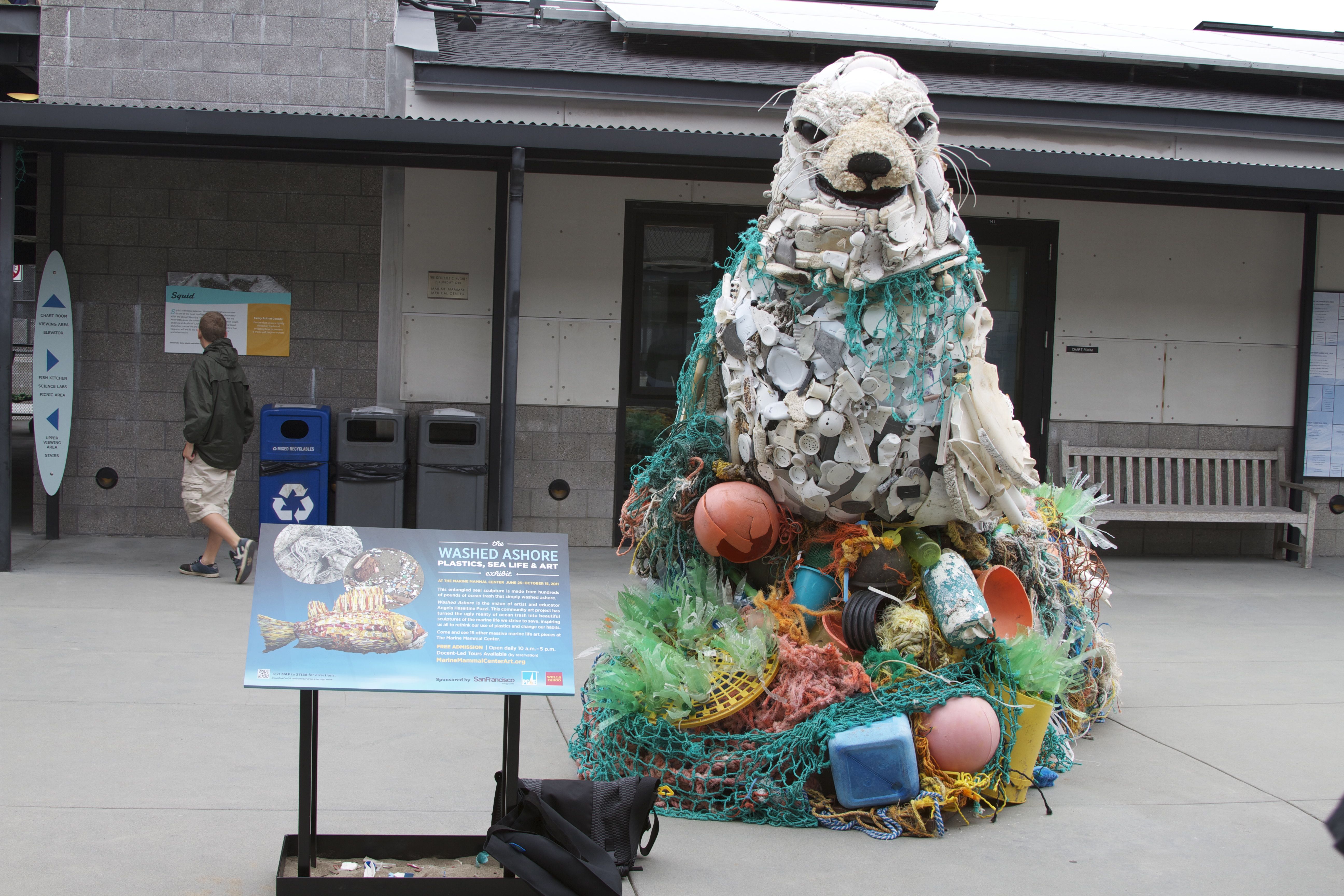 Marine Mammal Center