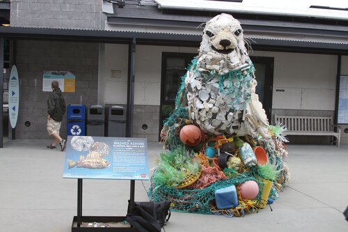 Marine Mammal Center