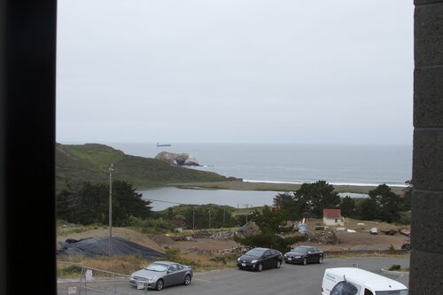Marine Mammal Center