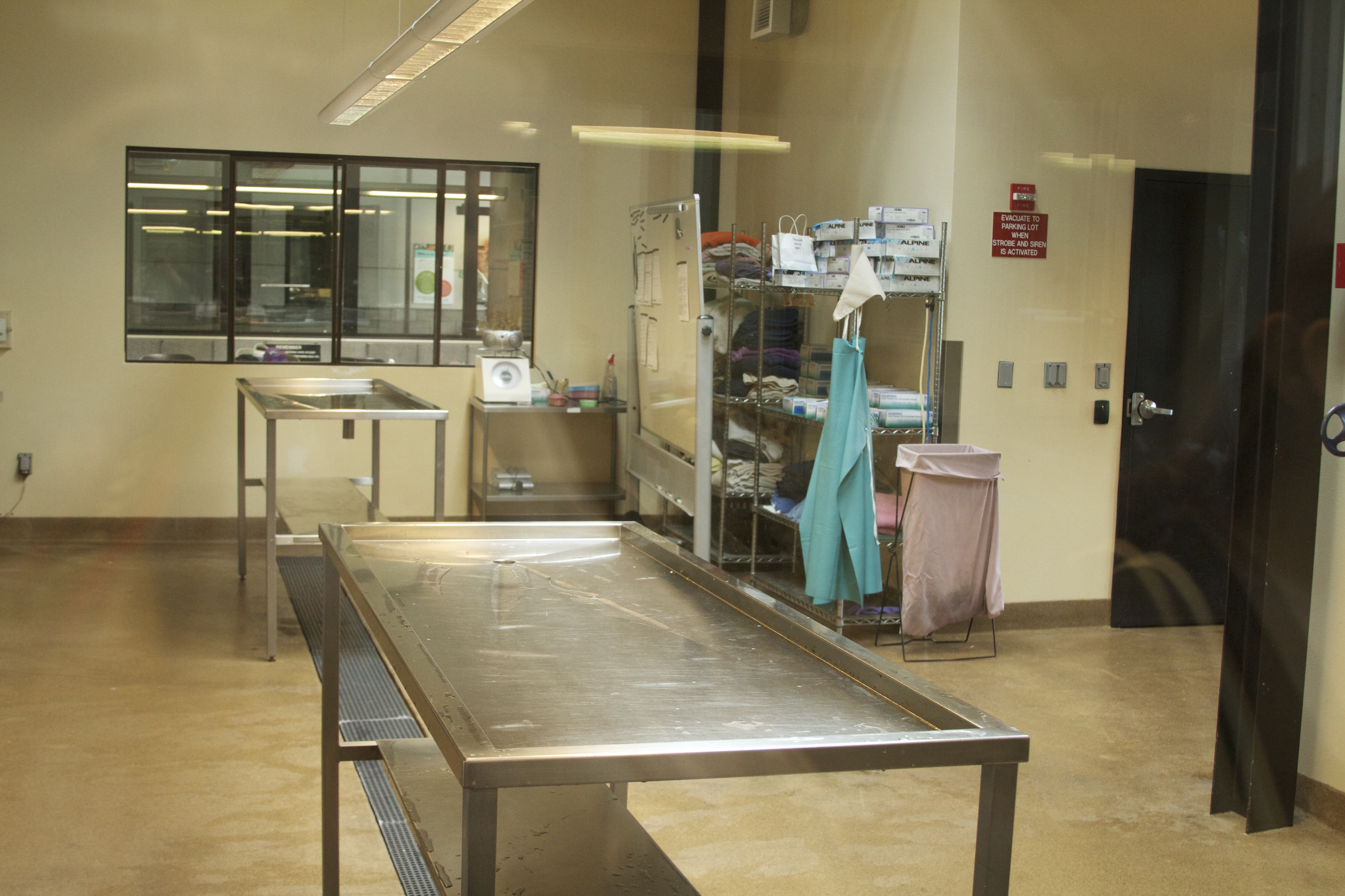Marine Mammal Center Kitchen
