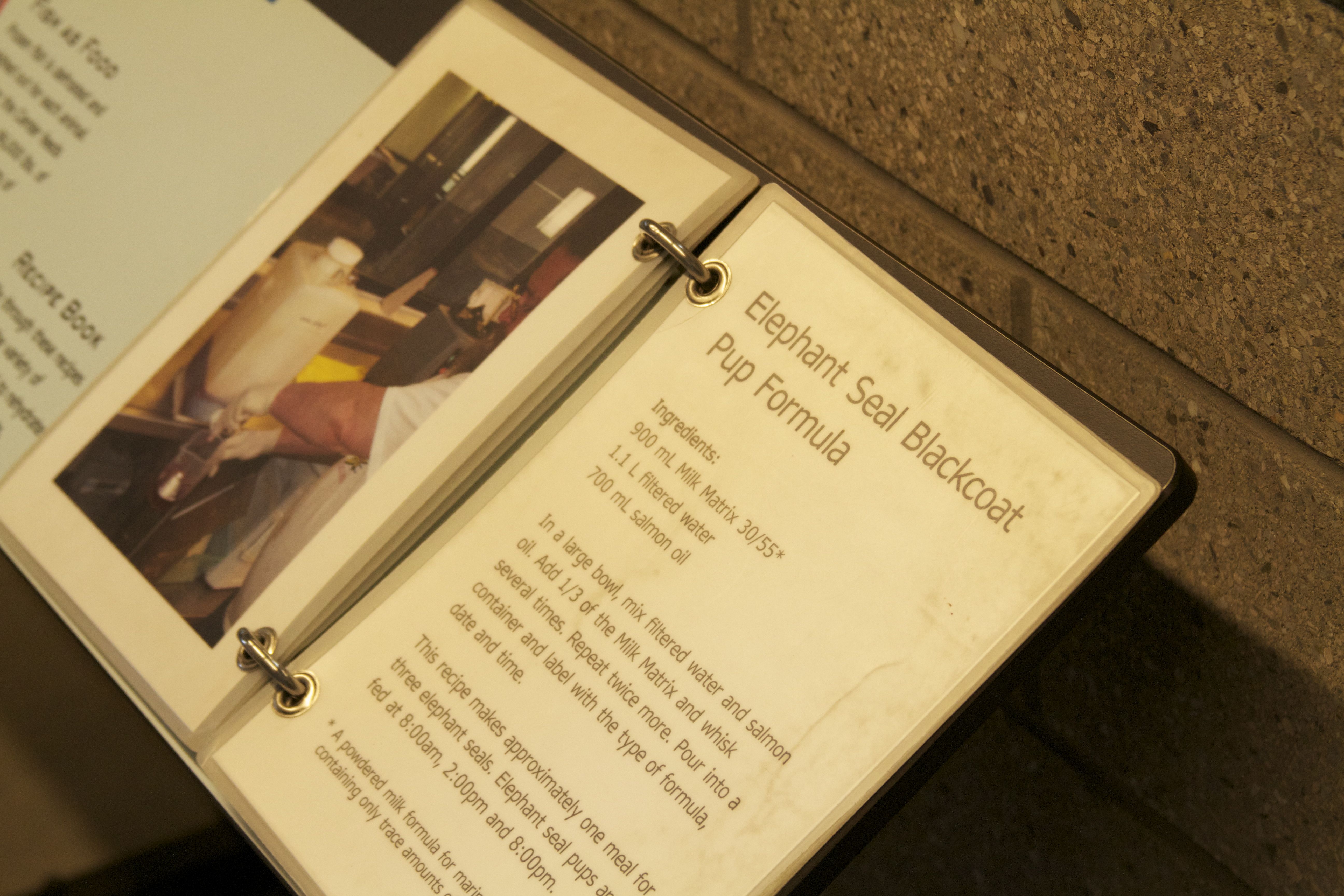 Marine Mammal Center Kitchen