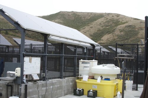 Marine Mammal Center Pens with Solar Shades