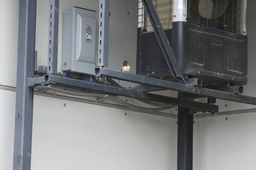 Marine Mammal Center