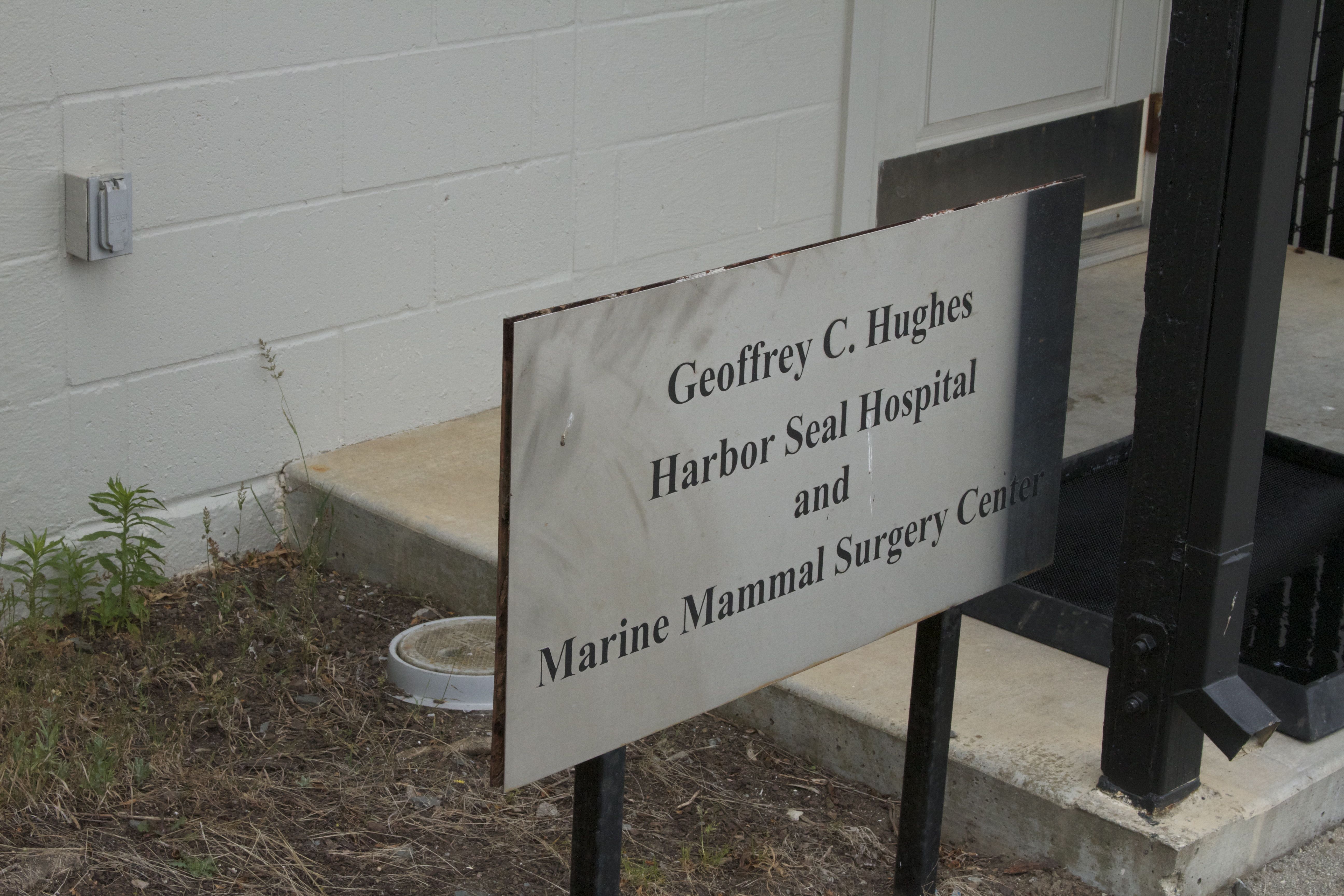 Marine Mammal Center