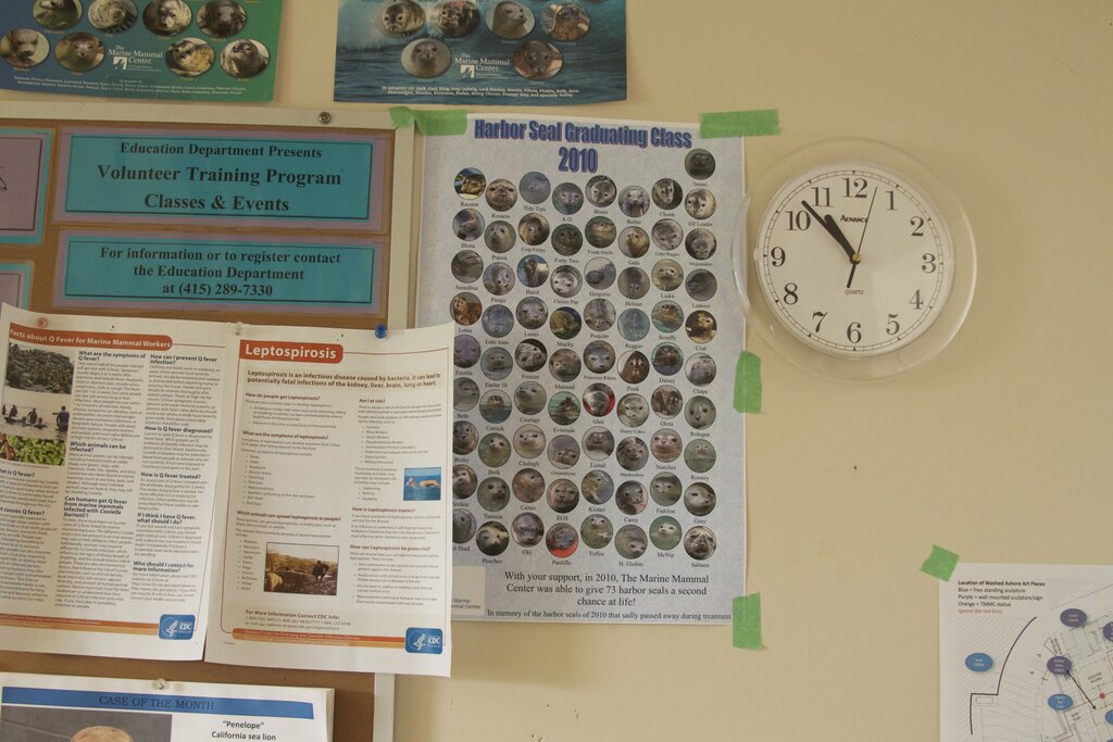 Marine Mammal Center