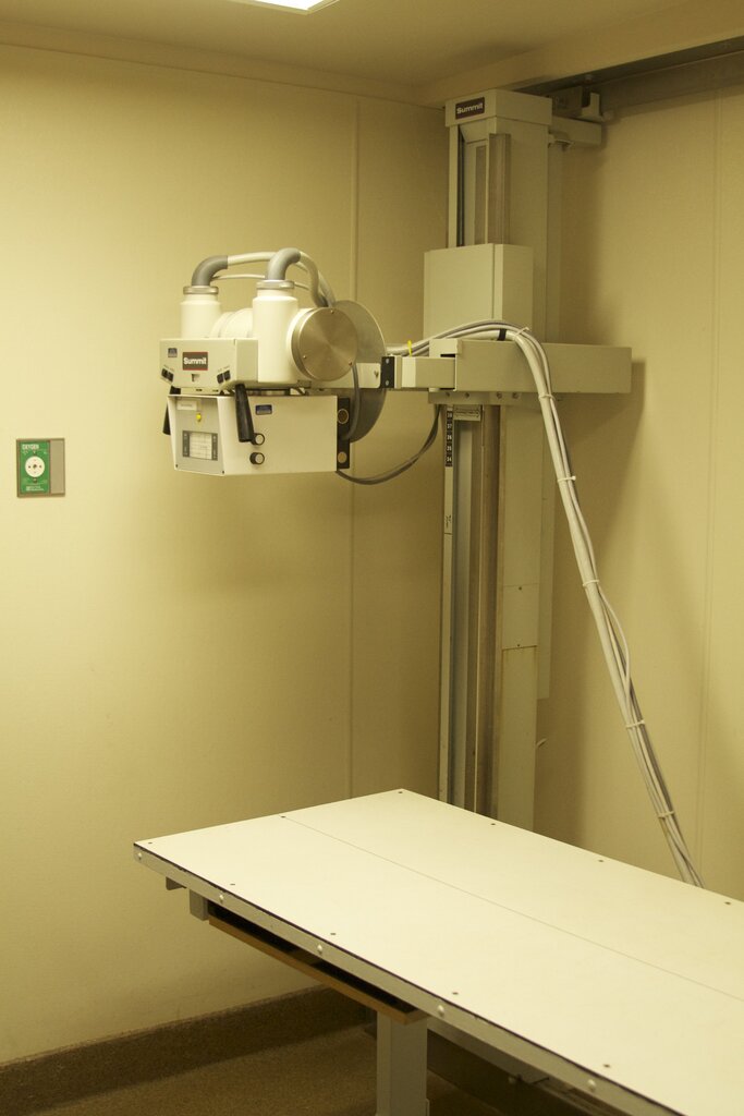 Marine Mammal Center X-ray