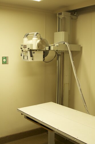 Marine Mammal Center X-ray