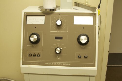 Marine Mammal Center X-ray