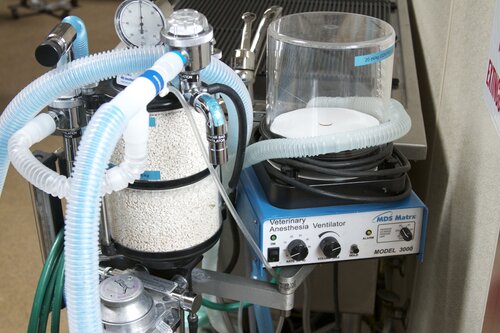 Marine Mammal Center