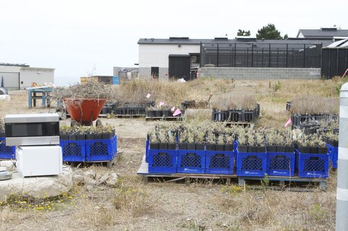 Marine Mammal Center