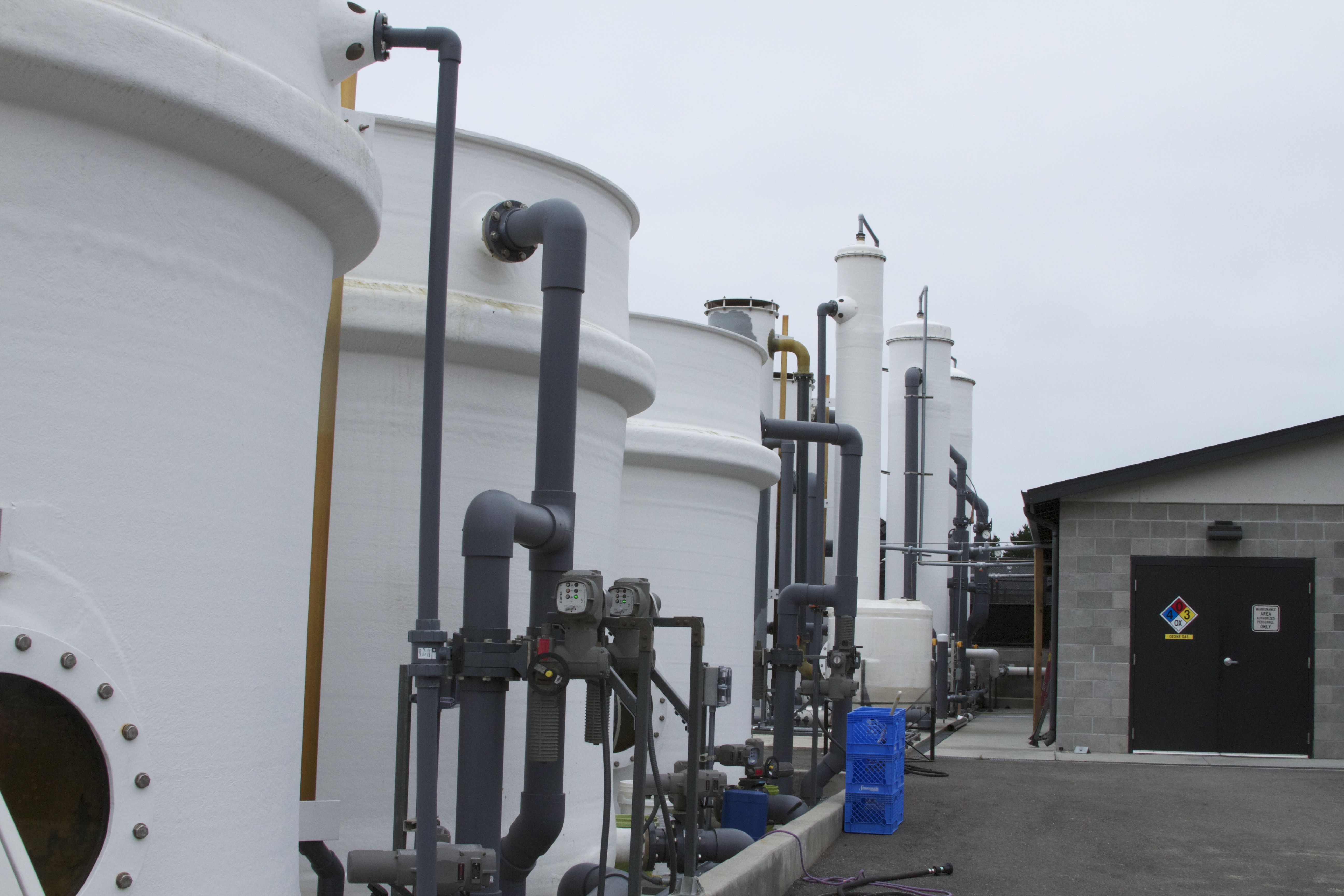 Marine Mammal Center