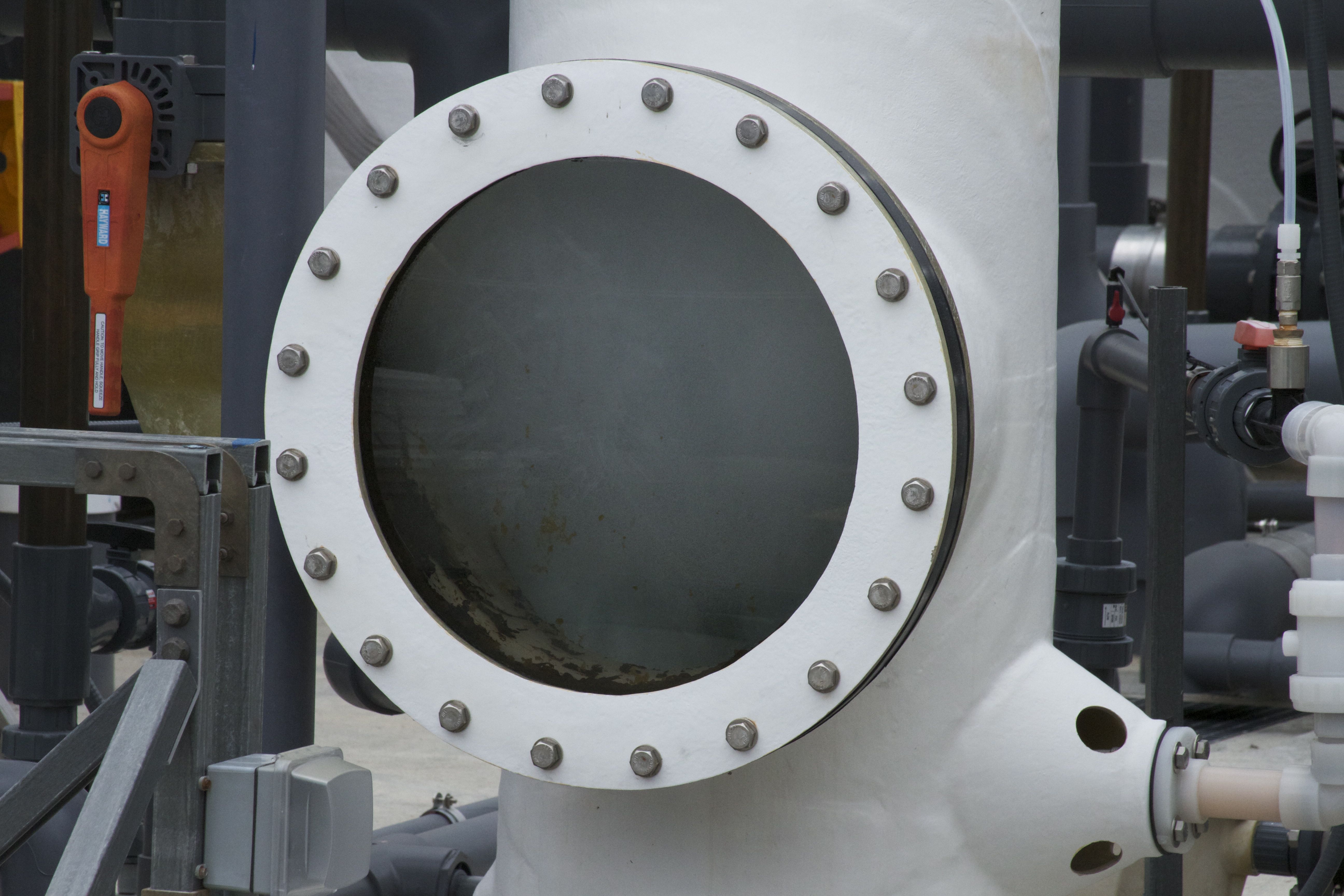 Marine Mammal Center